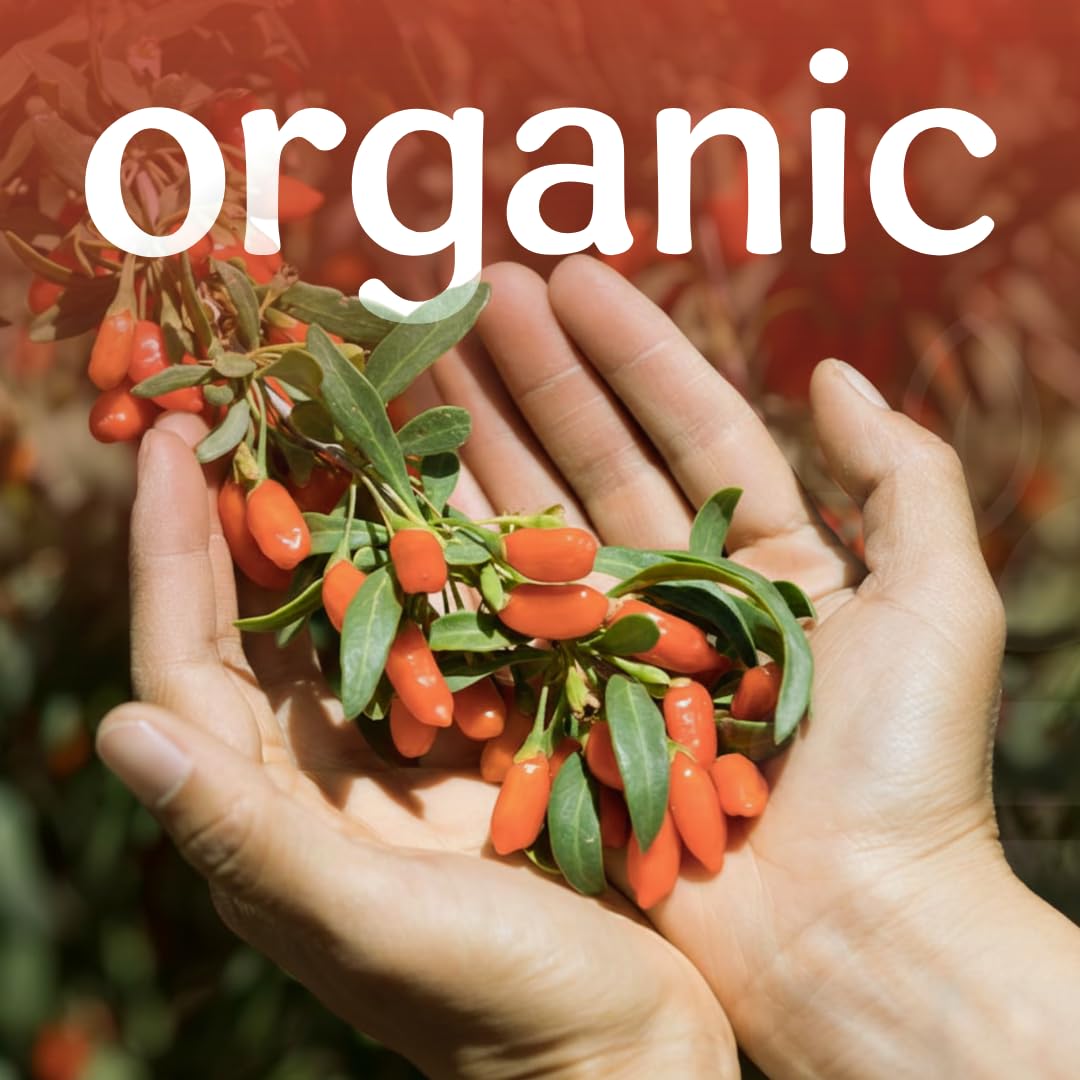 Organic Goji Berries T107