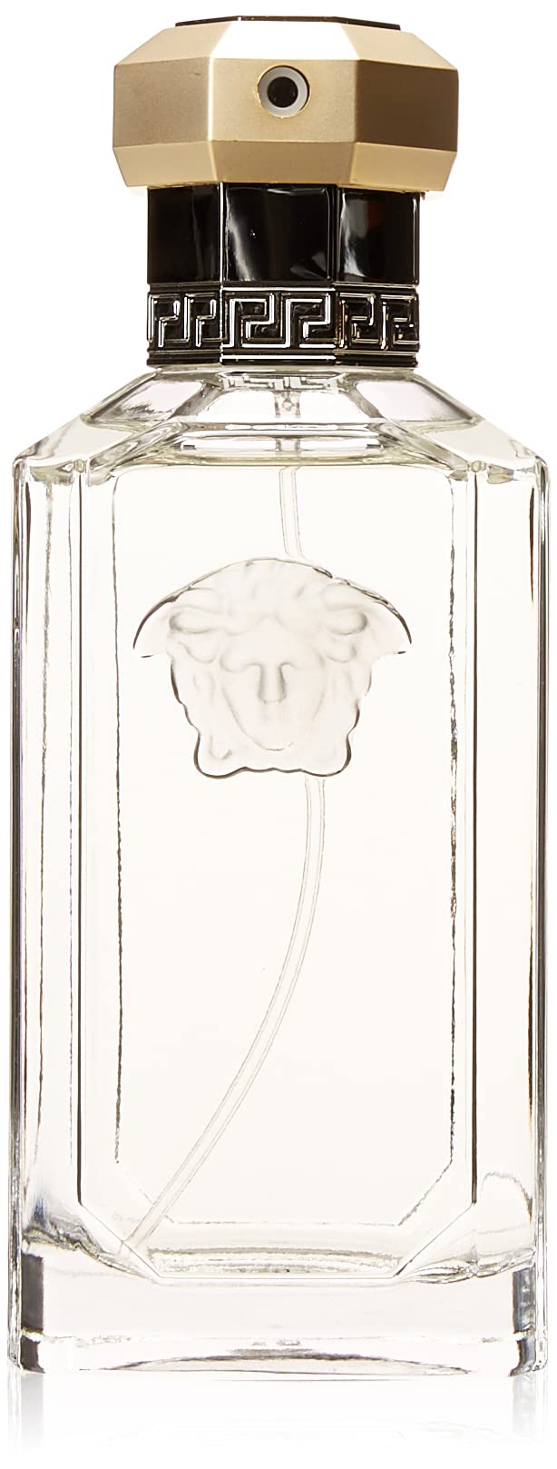 Eau De Toilette Spray 3.4 Ounces N27650
