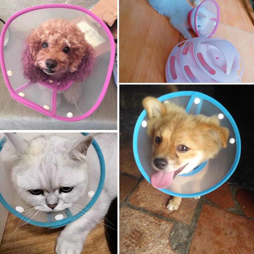 Adjustable Clear Padded Dog Cone U598645