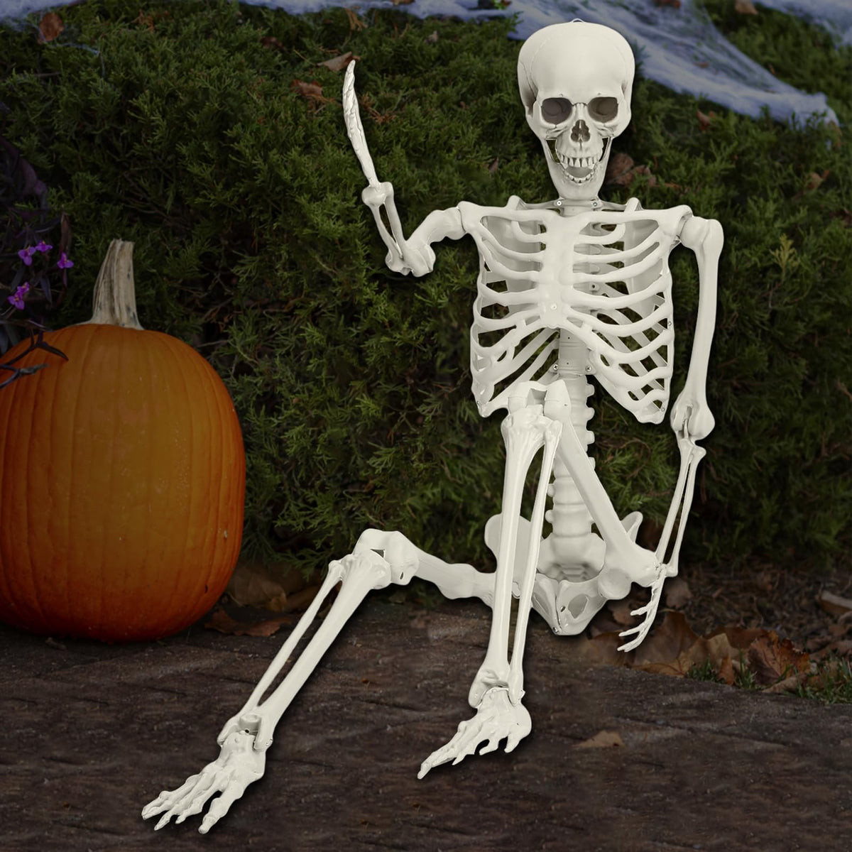 5.4FT Posable Skeleton F27516