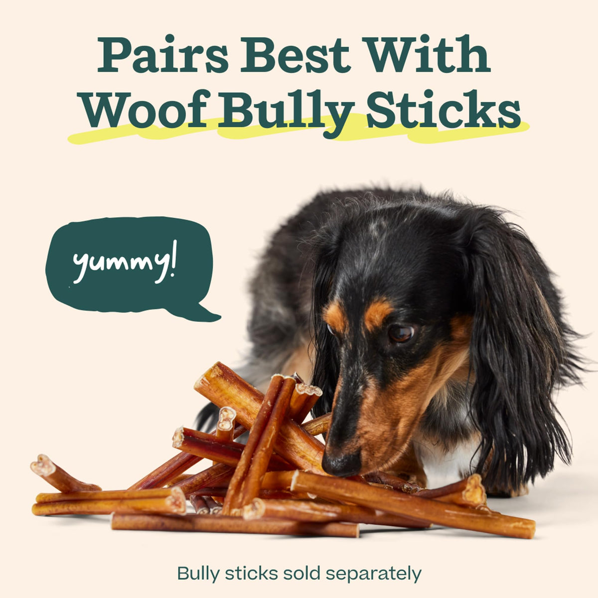 Bully Stick Holder for Dogs U339721