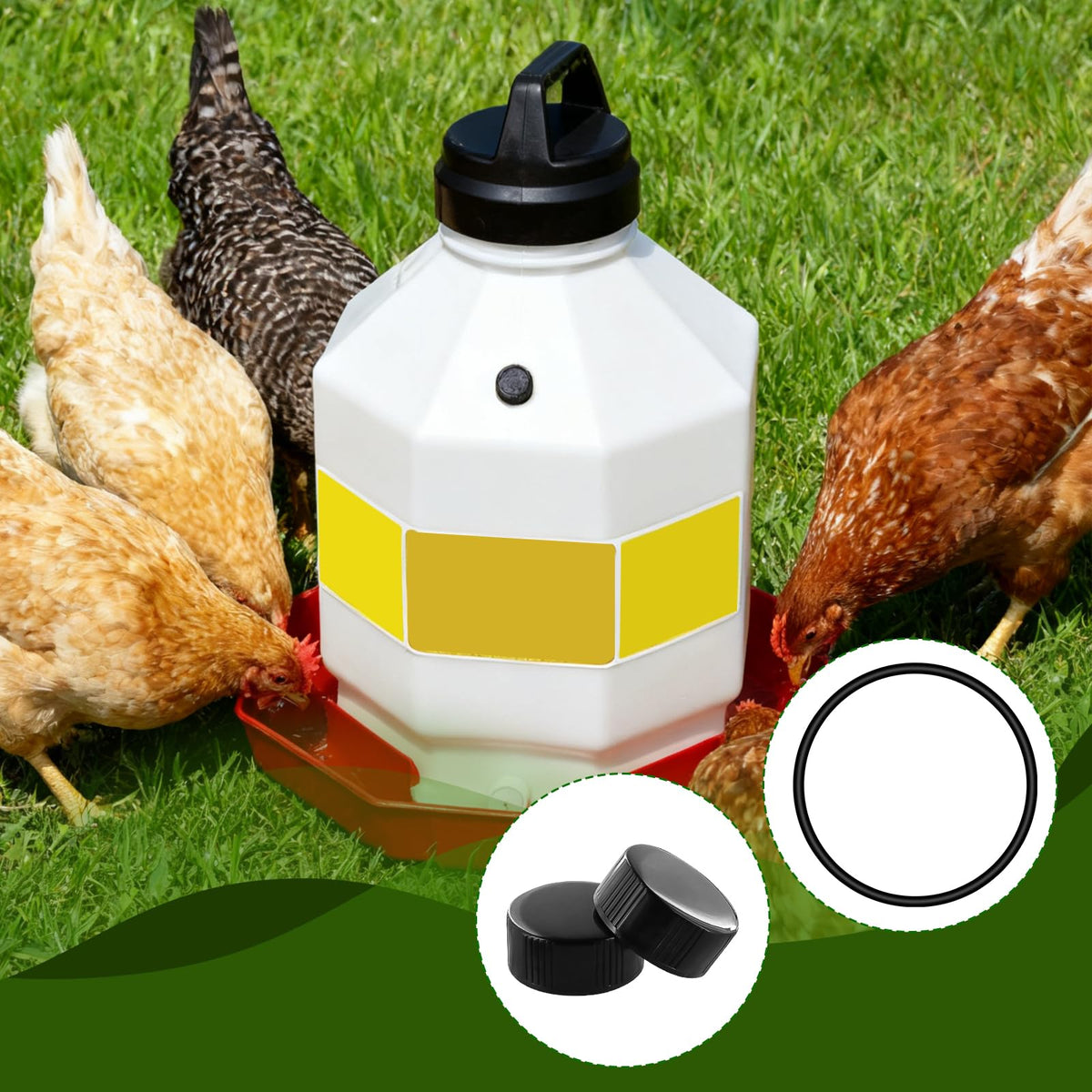 Poultry Waterer Replacement Parts Kit K37675
