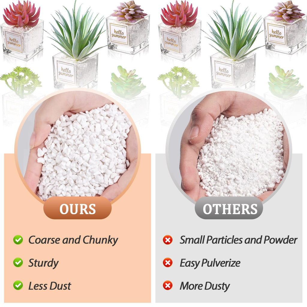 4QT Organic Horticultural Perlite Soil Amendment D199