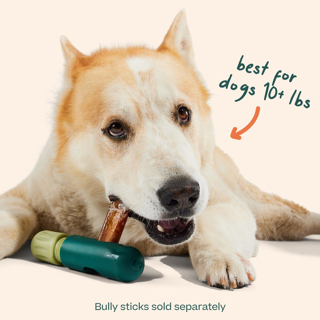 Bully Stick Holder for Dogs U339721