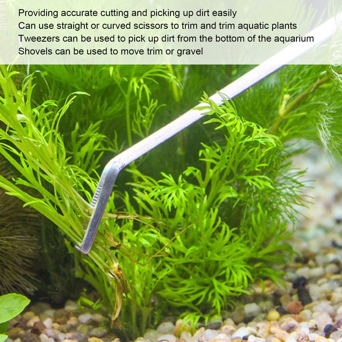 Aquarium Scissors and 5 in 1 Aquascaping Kit Stainless Steel 5 Piece Set W787