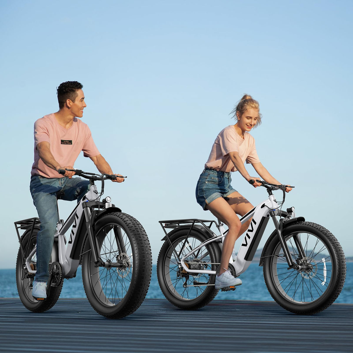 Electric Bike 26 x 4.0 Fat Tire 1500W Peak Motor N625