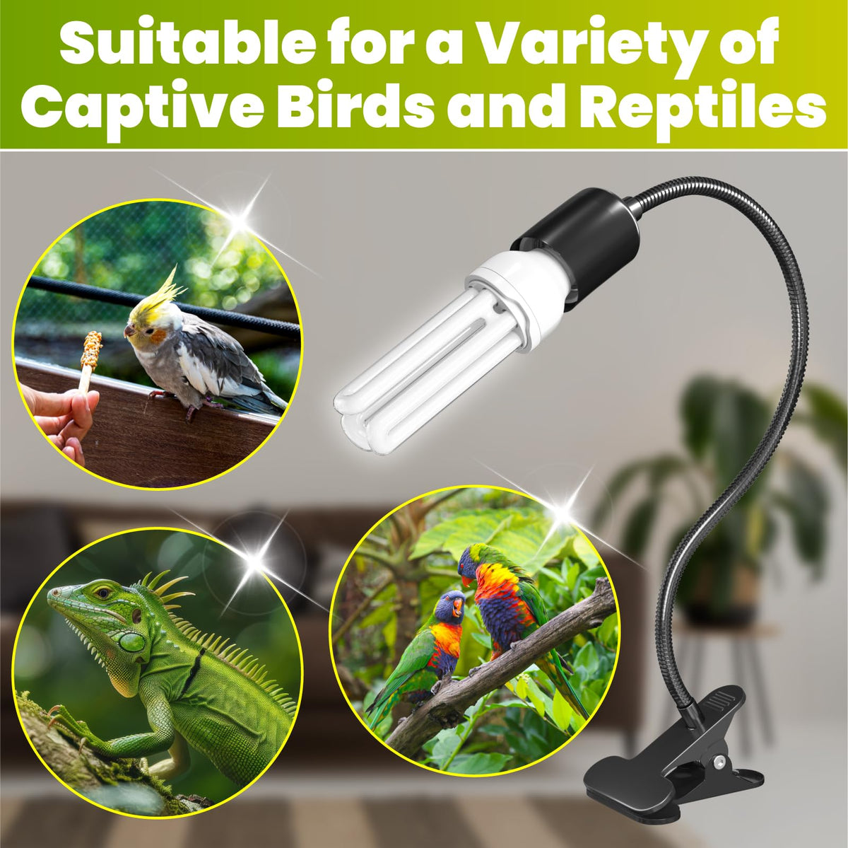 Bird Cage Lighting Combo Kit, Clip Lamp with UVB 2.4 20W Compact Fluorescent Bulb E51521