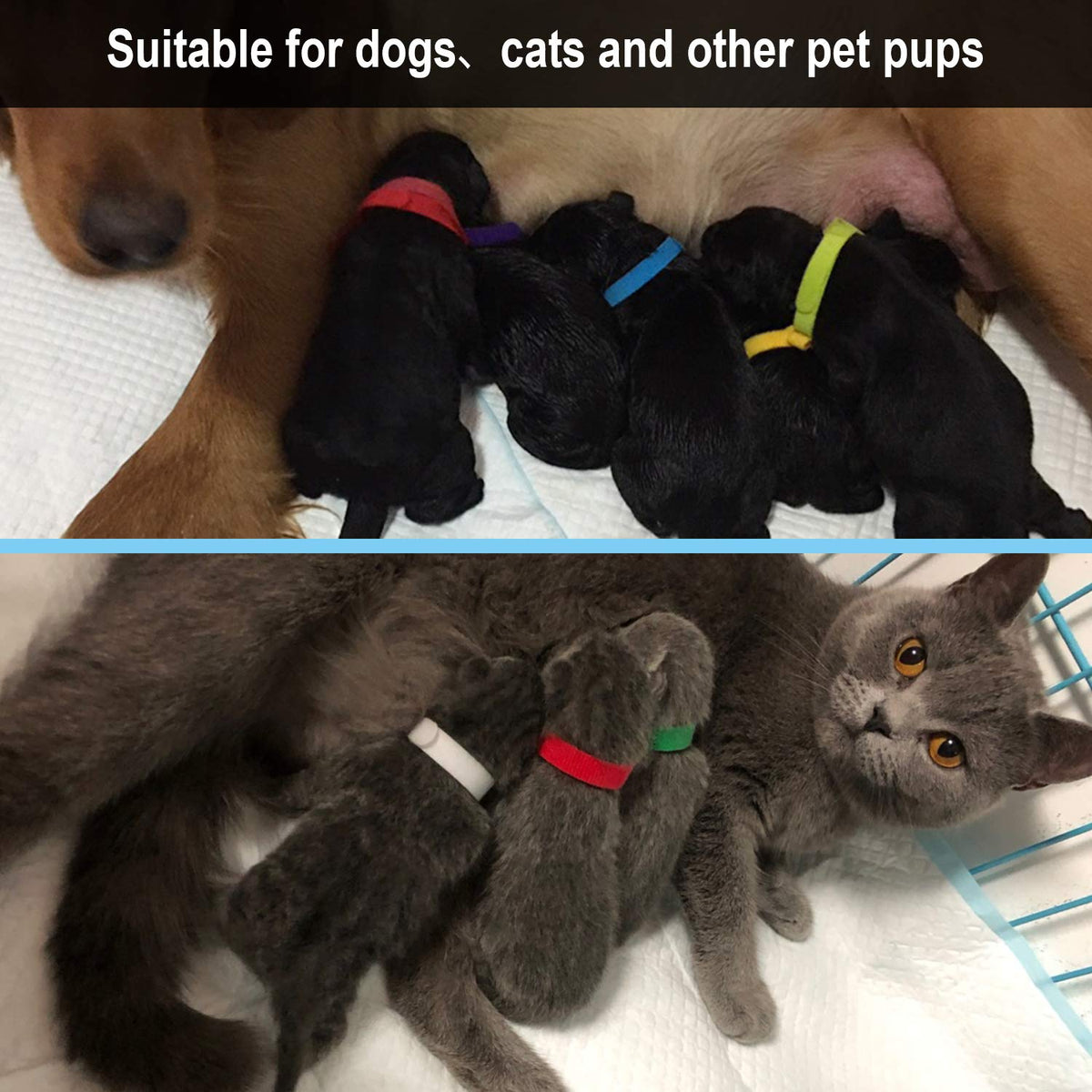 15 Pcs Soft Newborn Pet ID Bands E2426