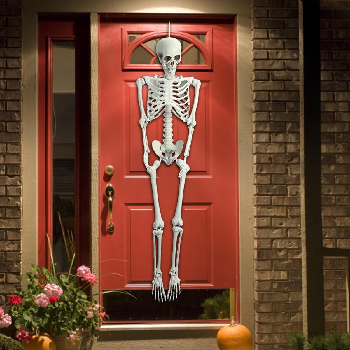 5.4FT Posable Skeleton F27516