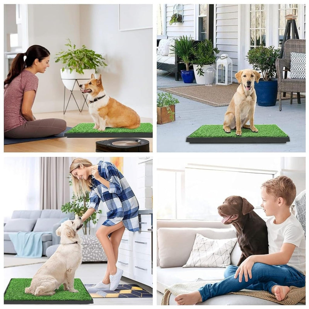 20"x25" Artificial Grass Dog Potty Pad with Tray M981558