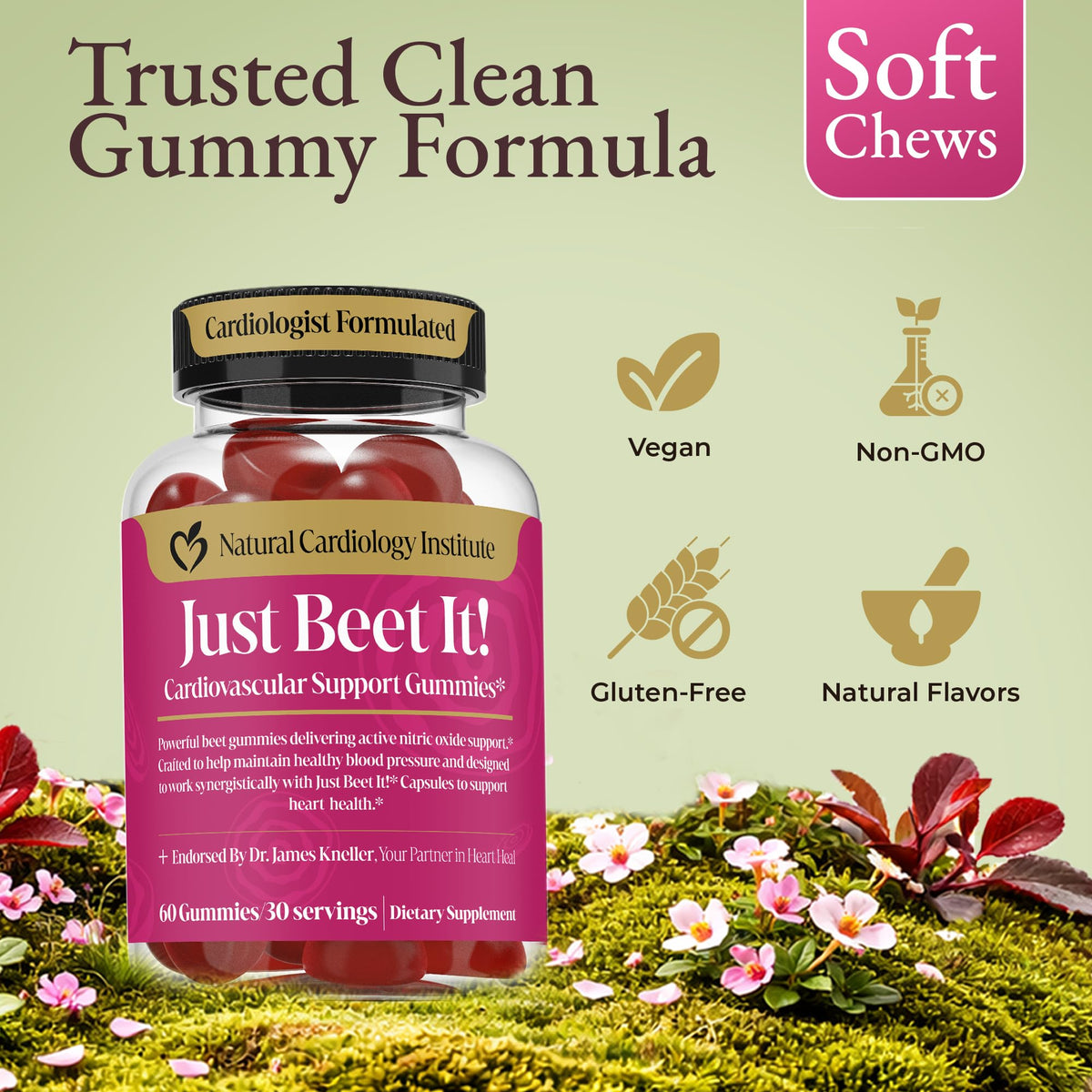 Beet Root Gummies & CoQ10 I970745