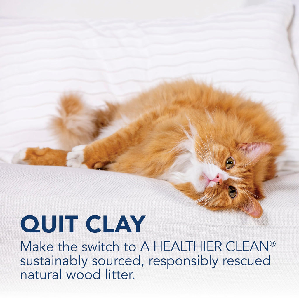 Low Tracking Natural Wood Clumping Cat Litter 21.5 Lbs B48577