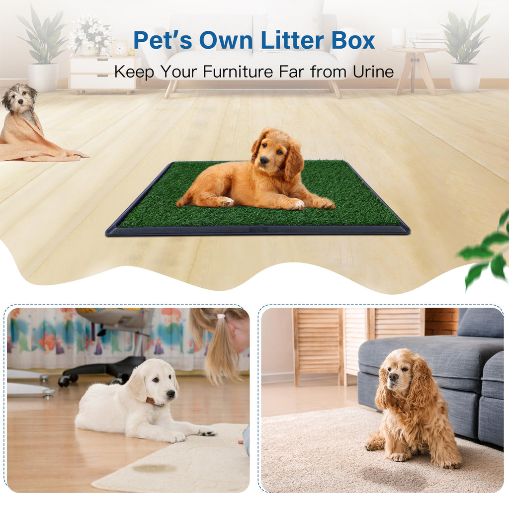 20"x25" Artificial Grass Dog Potty Pad with Tray M981558
