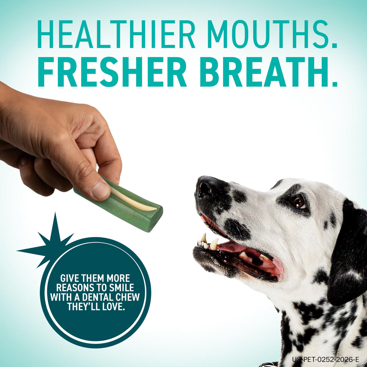 Dental Chews for Dogs 30 Count N89010