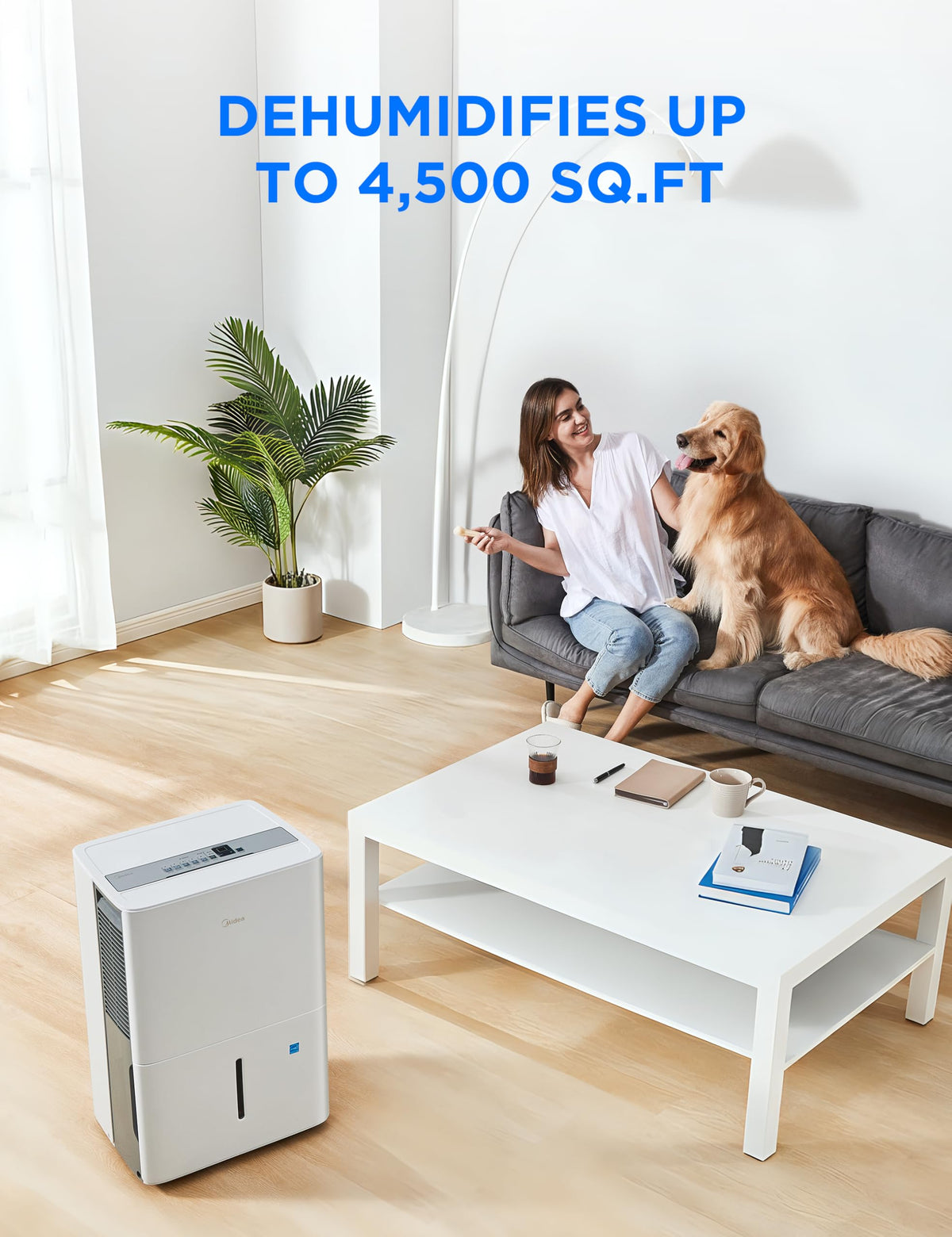 50 Pint Dehumidifier with Pump H6341