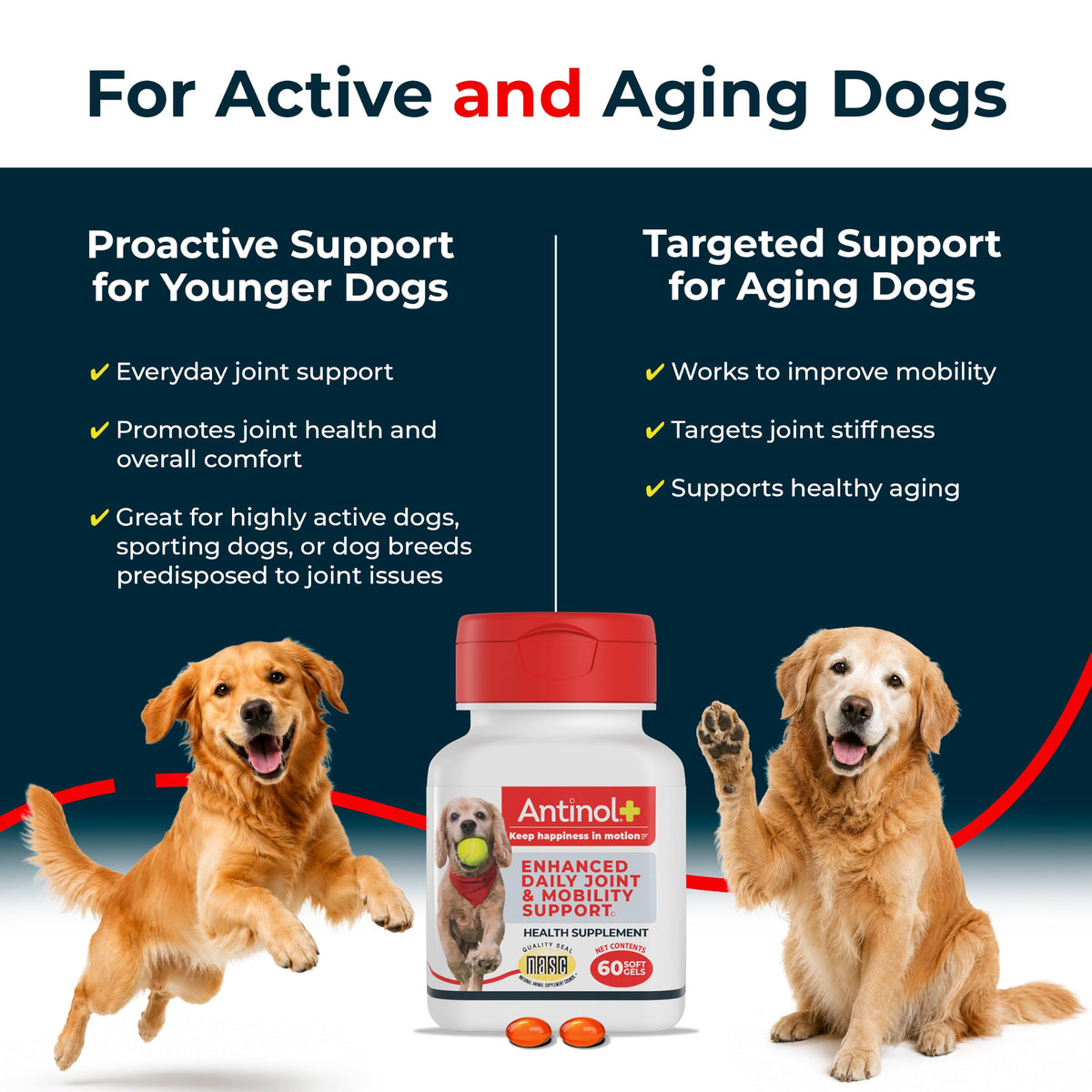 Hip & Joint Supplement for Dogs, 60 Soft Gels X5193