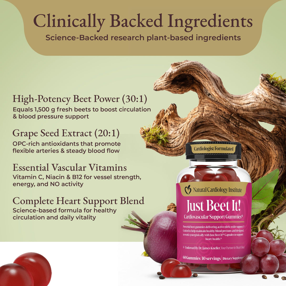 Beet Root Gummies & CoQ10 I970745