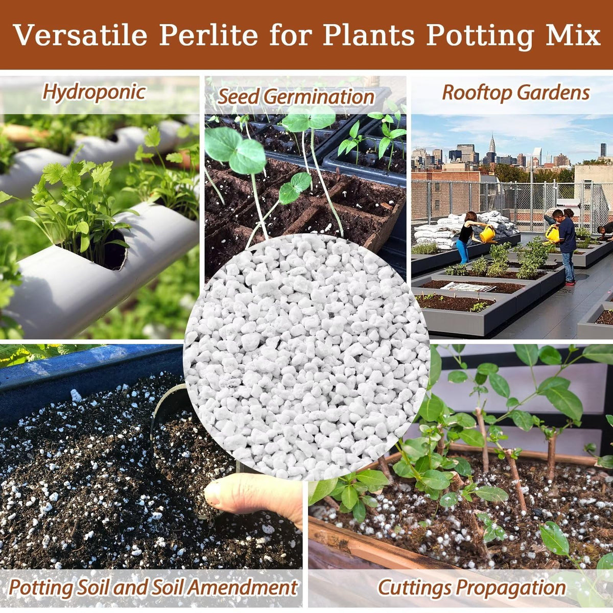 4QT Organic Horticultural Perlite Soil Amendment D199