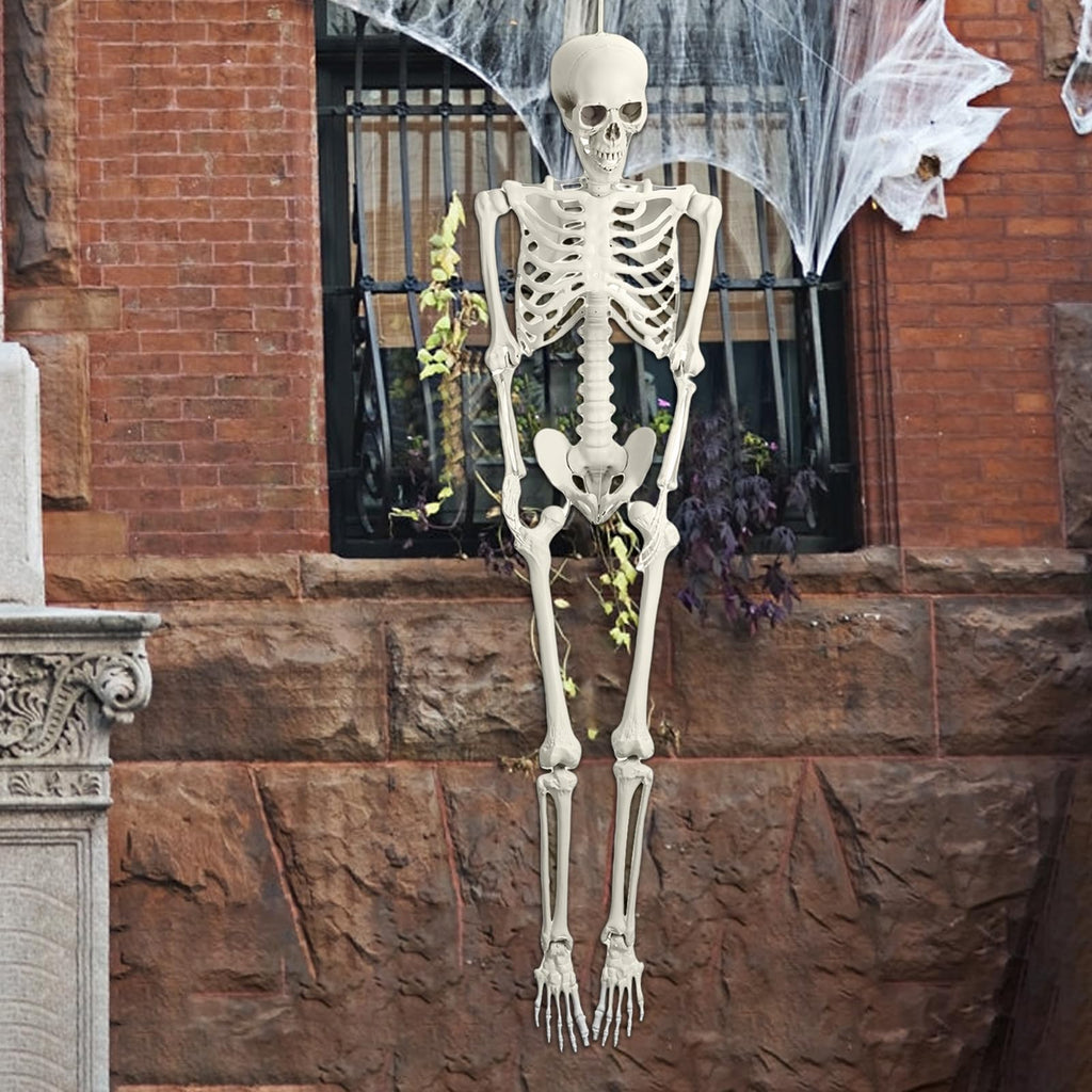 5.4FT Posable Skeleton F27516