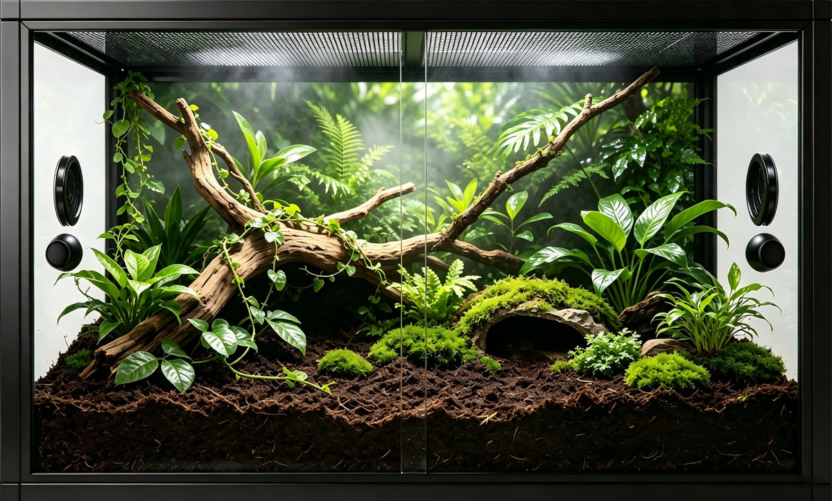 50 Gallon Front Opening Reptile Tank R840