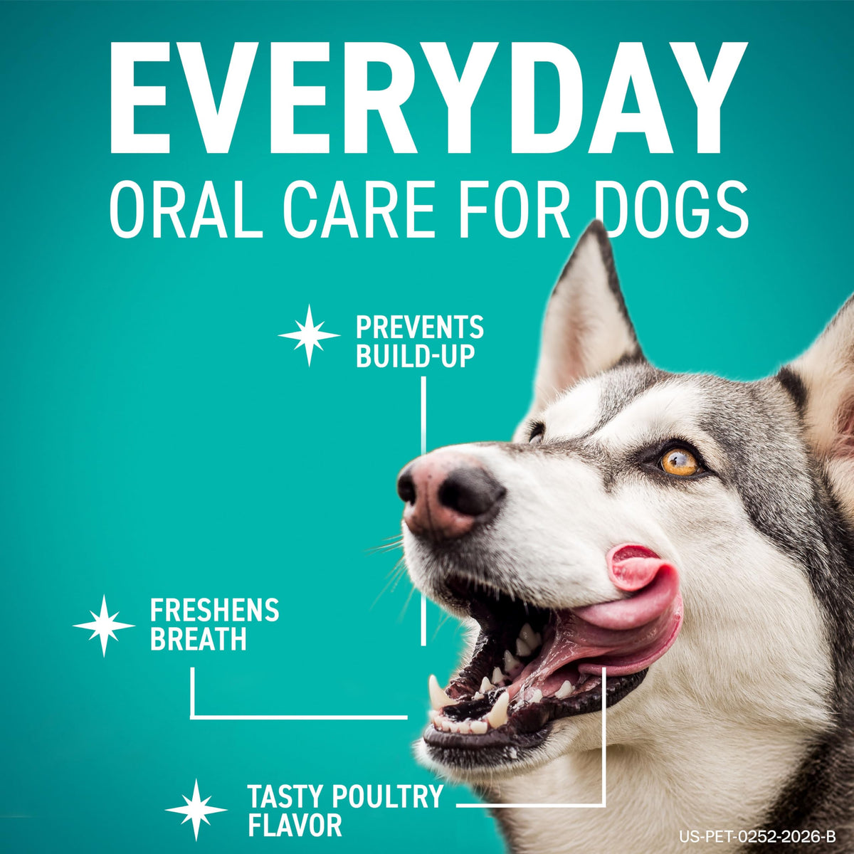 Dental Chews for Dogs 30 Count N89010