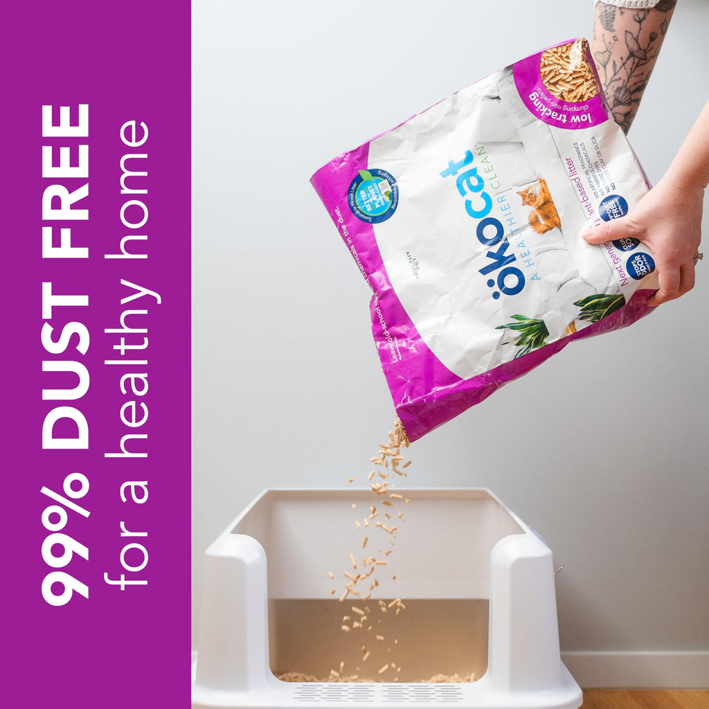 Low Tracking Natural Wood Clumping Cat Litter 21.5 Lbs B48577