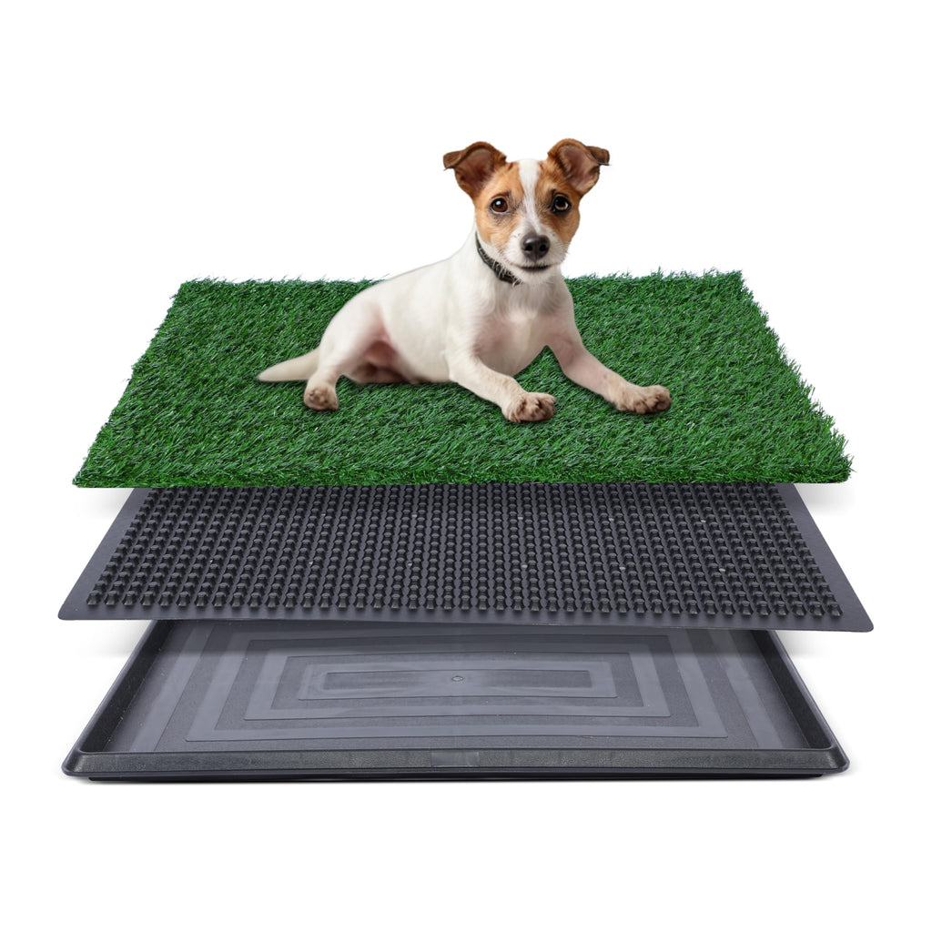 20"x25" Artificial Grass Dog Potty Pad with Tray M981558